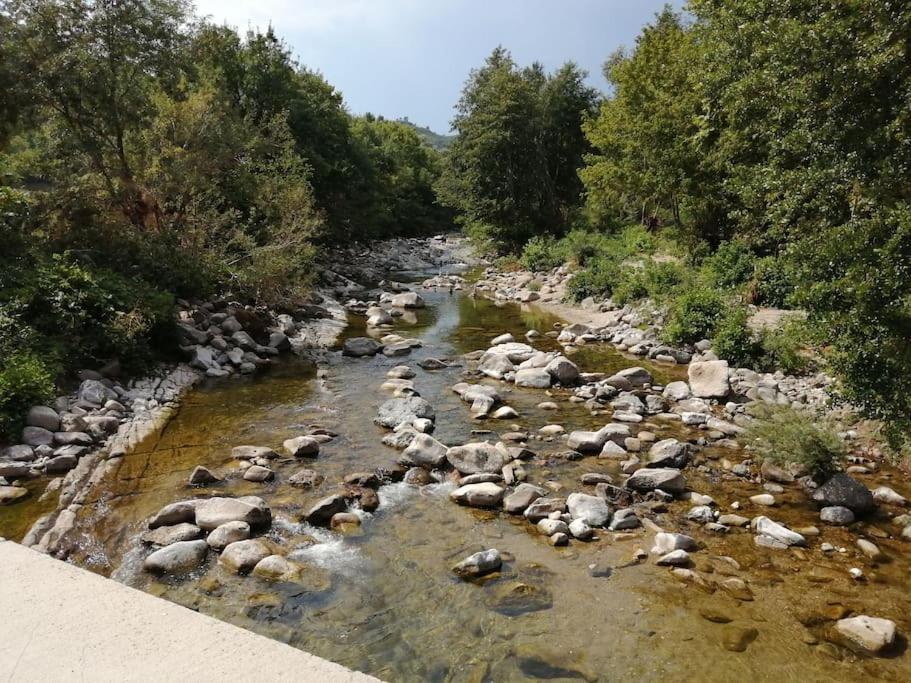 Proche Baignade, La Bergerie De Claire Villa Thoiras Exterior photo